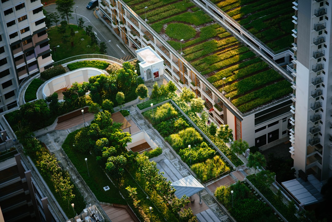 Green Roofs in Architecture
