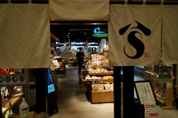 Noren: Japanese Fabric Dividers Explained
