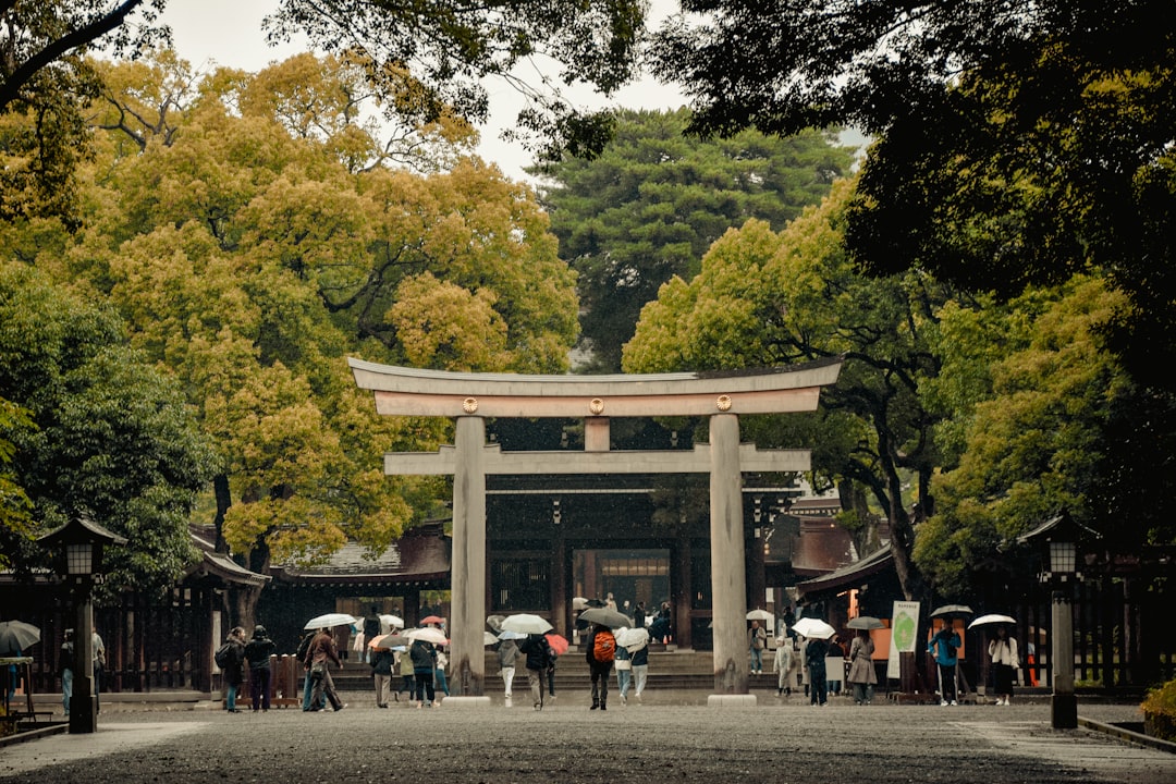 Shinto Shrine Architecture Explained