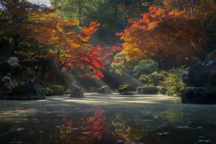 Zen Gardens (Karesansui) Explained