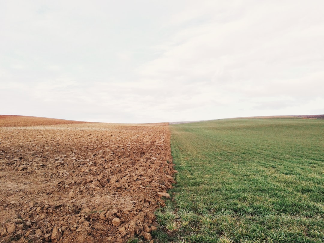Soil Mechanics for Buildings Explained