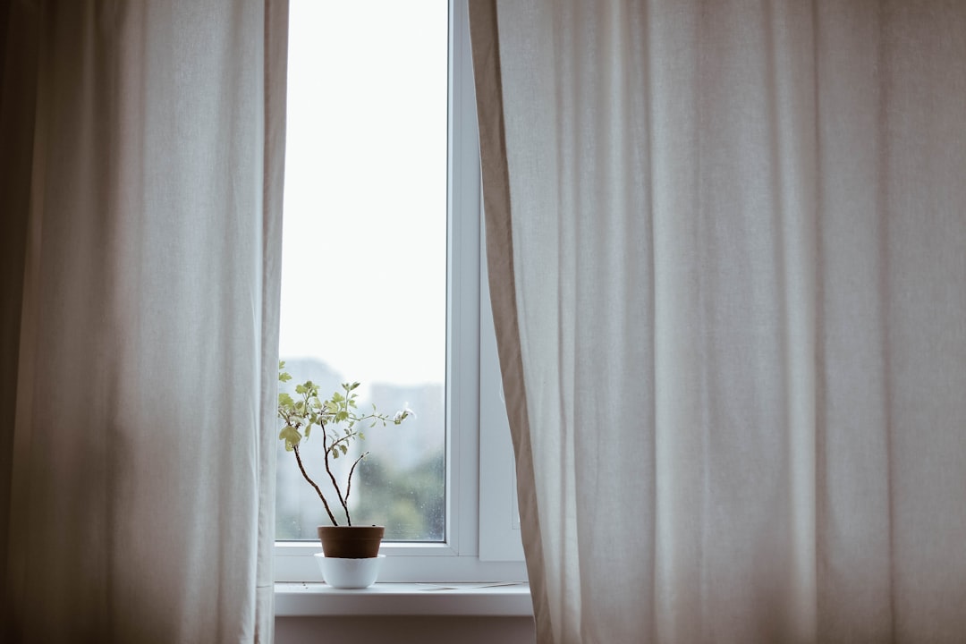 Curtains vs Blinds: Which to Choose for Your Home