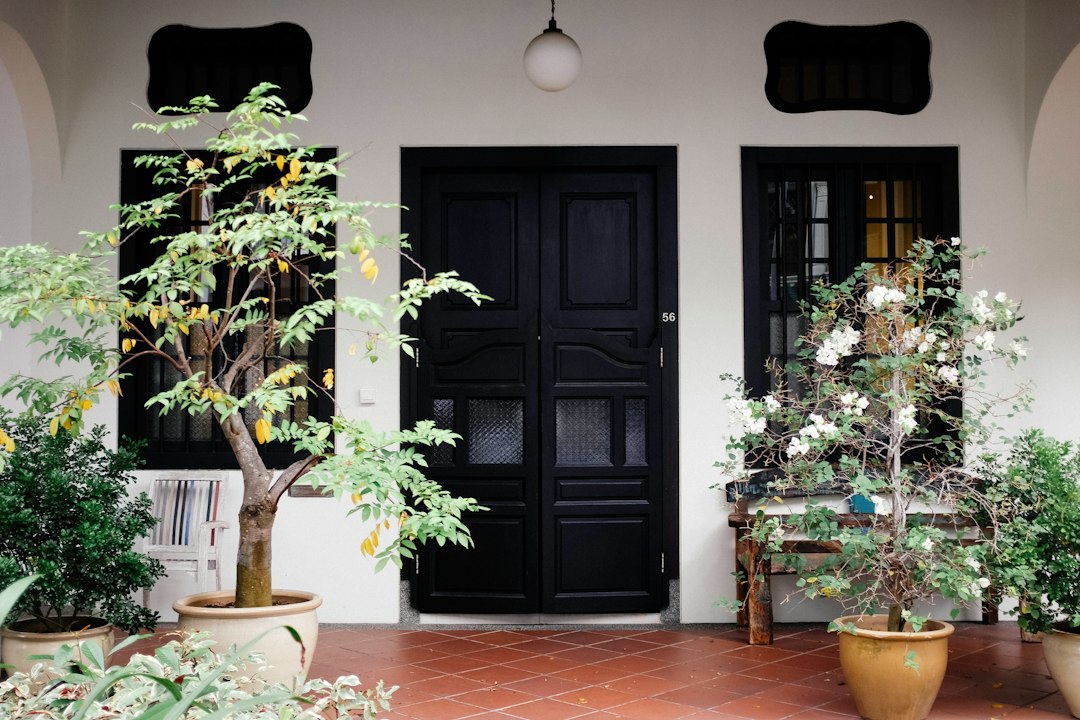 The Peranakan Shophouse: Architecture and Ornament