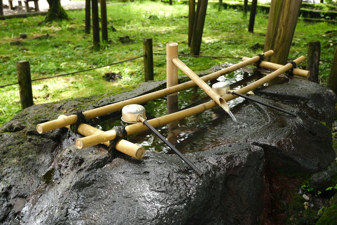 Tsukubai: The Japanese Stone Water Basin Explained