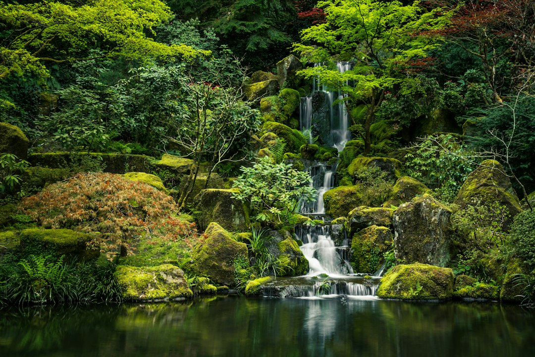 Plants for a Japanese Garden: Choosing with Design Intent