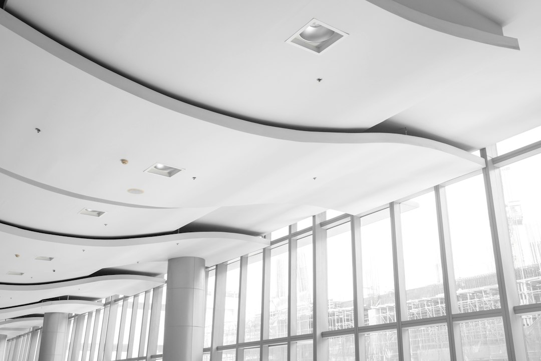 Types of Ceilings: Designs, Materials and Practical Uses
