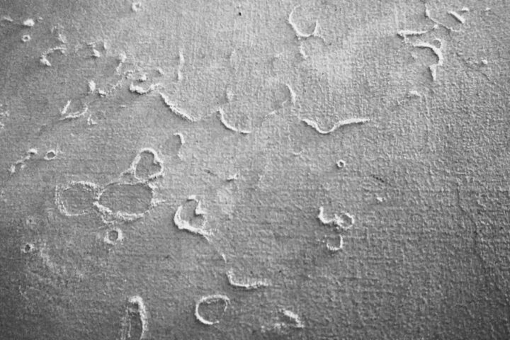 Efflorescence: Causes, Cures and When to Worry About It