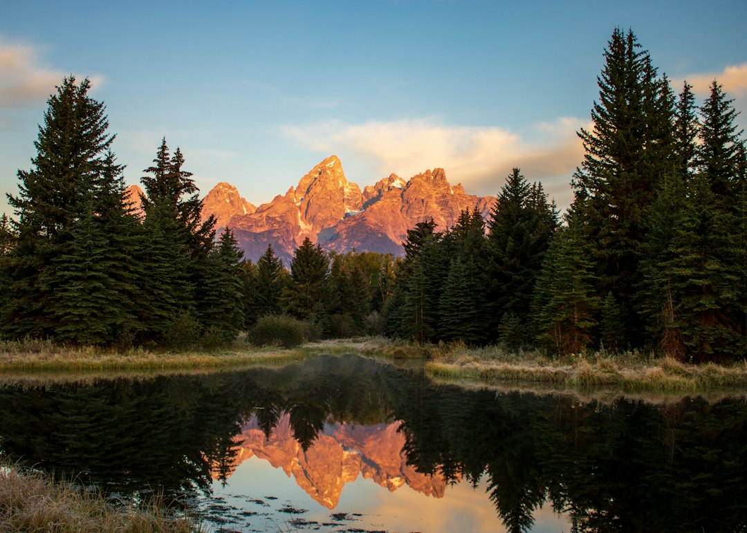 Landscape Architecture Explained: Scope, History, Practice