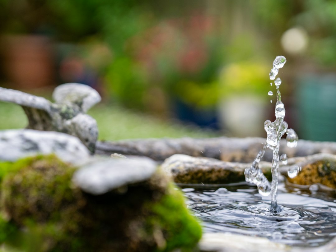 Water Feature Design for Gardens: Types and Construction