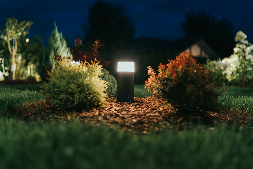 Landscape Lighting Design: Techniques, Fittings and Safety