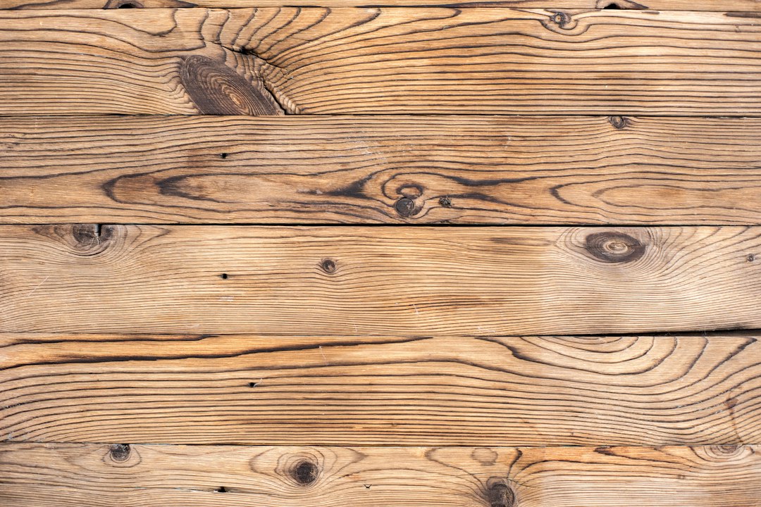 Hardwood vs Softwood: The Real Differences Explained