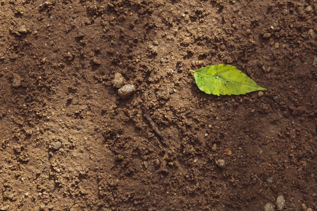 Soil Compaction: Methods, Selection and Site Testing