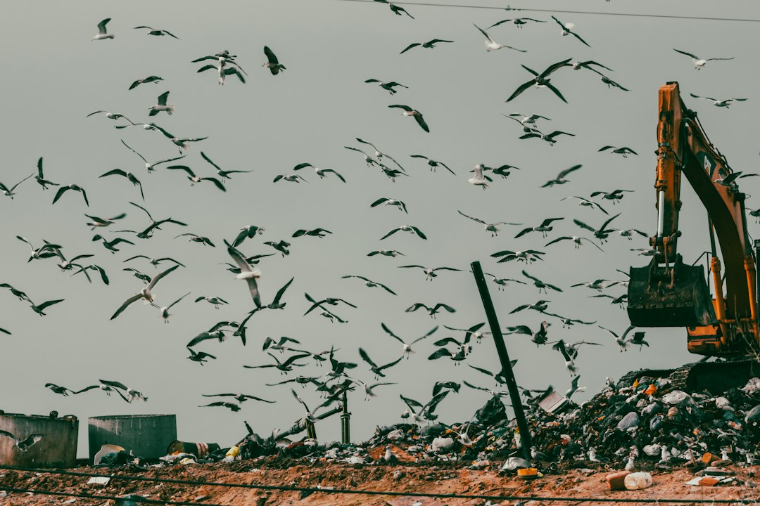 Construction Waste Management in Singapore Explained