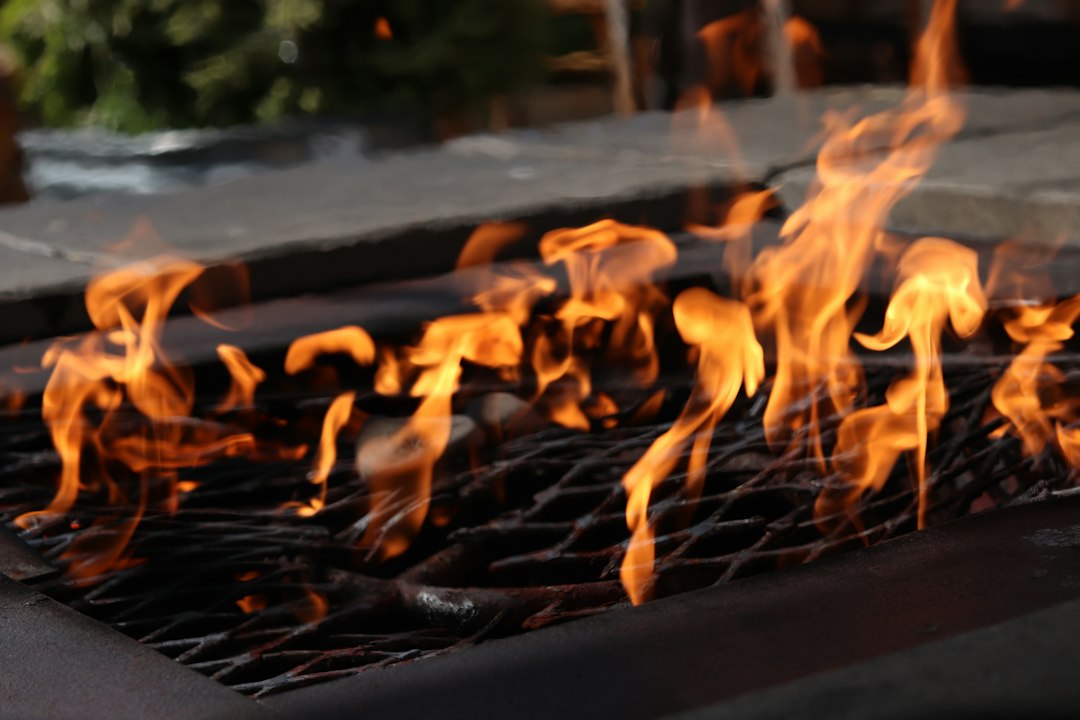 Fire Shutter Explained: Types, Operation and SCDF Rules